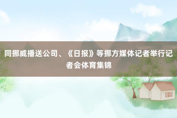 同挪威播送公司、《日报》等挪方媒体记者举行记者会体育集锦