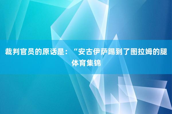 裁判官员的原话是：“安古伊萨踢到了图拉姆的腿体育集锦