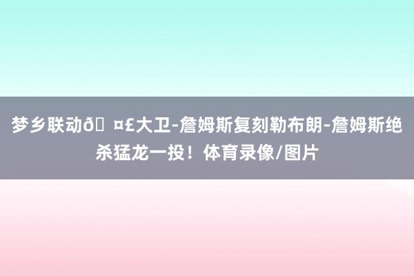 梦乡联动🤣大卫-詹姆斯复刻勒布朗-詹姆斯绝杀猛龙一投！体育录像/图片