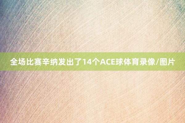 全场比赛辛纳发出了14个ACE球体育录像/图片