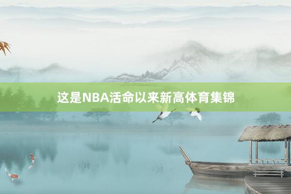 这是NBA活命以来新高体育集锦