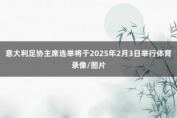 意大利足协主席选举将于2025年2月3日举行体育录像/图片