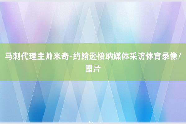 马刺代理主帅米奇-约翰逊接纳媒体采访体育录像/图片