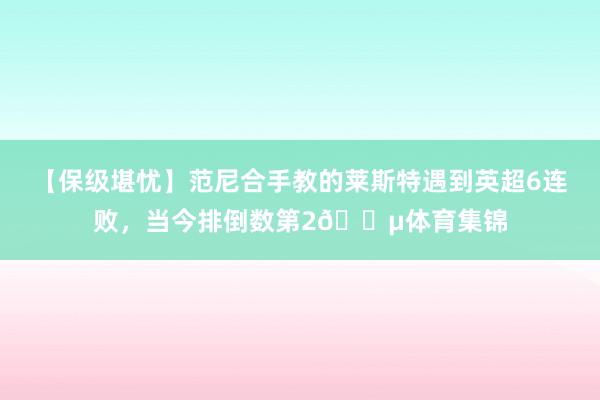 【保级堪忧】范尼合手教的莱斯特遇到英超6连败，当今排倒数第2😵体育集锦